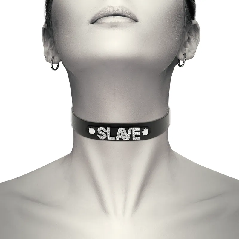 Collar Bdsm Slave (345)
