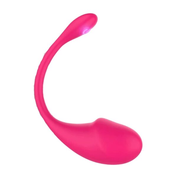 Vibrador con App